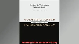 READ THE NEW BOOK   Auditing After SarbanesOxley  FREE BOOOK ONLINE