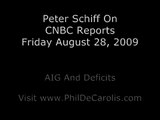 Peter Schiff On CNBC Reports AIG And Deficits 2 of 2 08/29/09