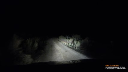 Dash Cam Catches Kangaroo Attacking Car And It Is Terrifying