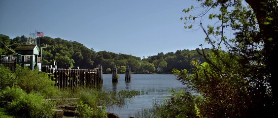 No Stranger Than Love Official Trailer #1 (2016) - Alison Brie, Colin Hanks Movie HD