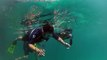 Rescue Diver & Level 3  Guide Jhover Alvarez in free diving 15 meters.
