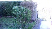 28 feb 12H50