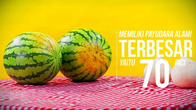 Hal-hal yang Menarik Tentang Payudara