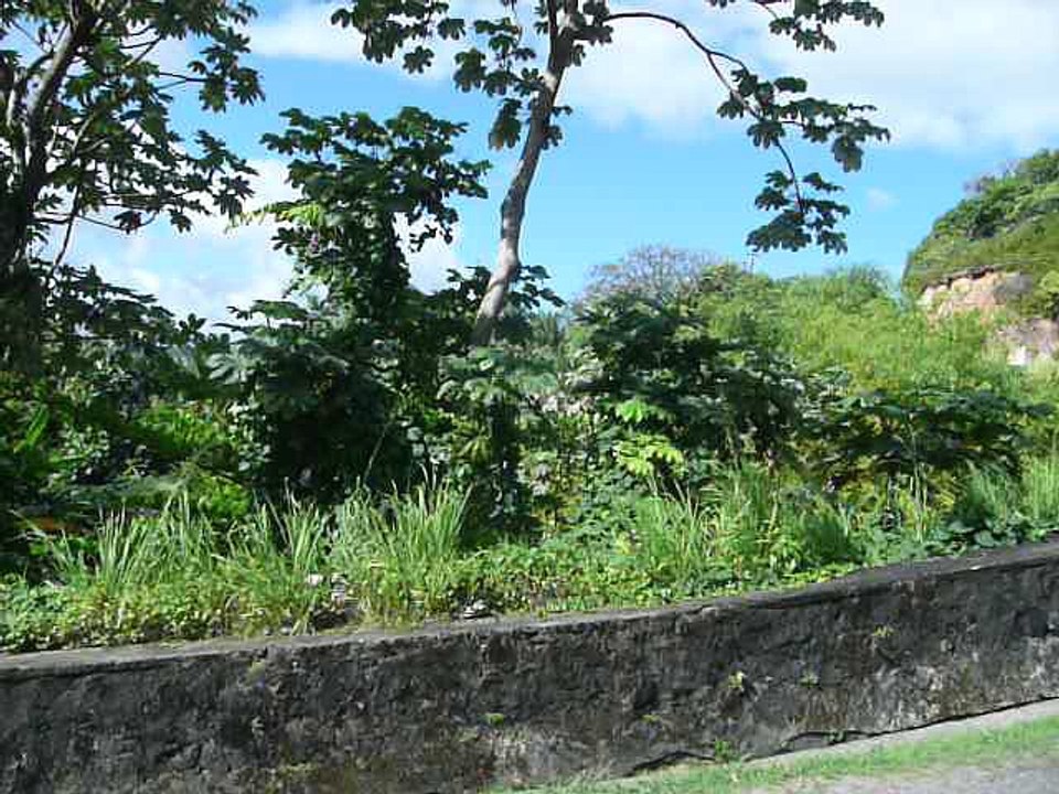ST. LUCIA 23.2 P1080620