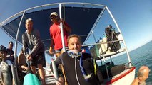 Clint Walker Master Diver @ LaPaz Whale Sharks Dive  10 17  14