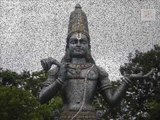 Lalanuchu || Annamacharya Keerthanalu || Lord Balaji Telugu Devotional Songs