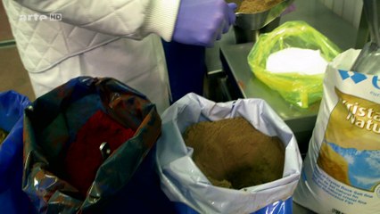 Arte - X enius (Faut-il proscrire les plats cuisinés ) - 02-05-2016 17h20 25m (13164)