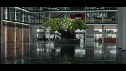 "El olivo", la nueva película de Icíar Bollaín