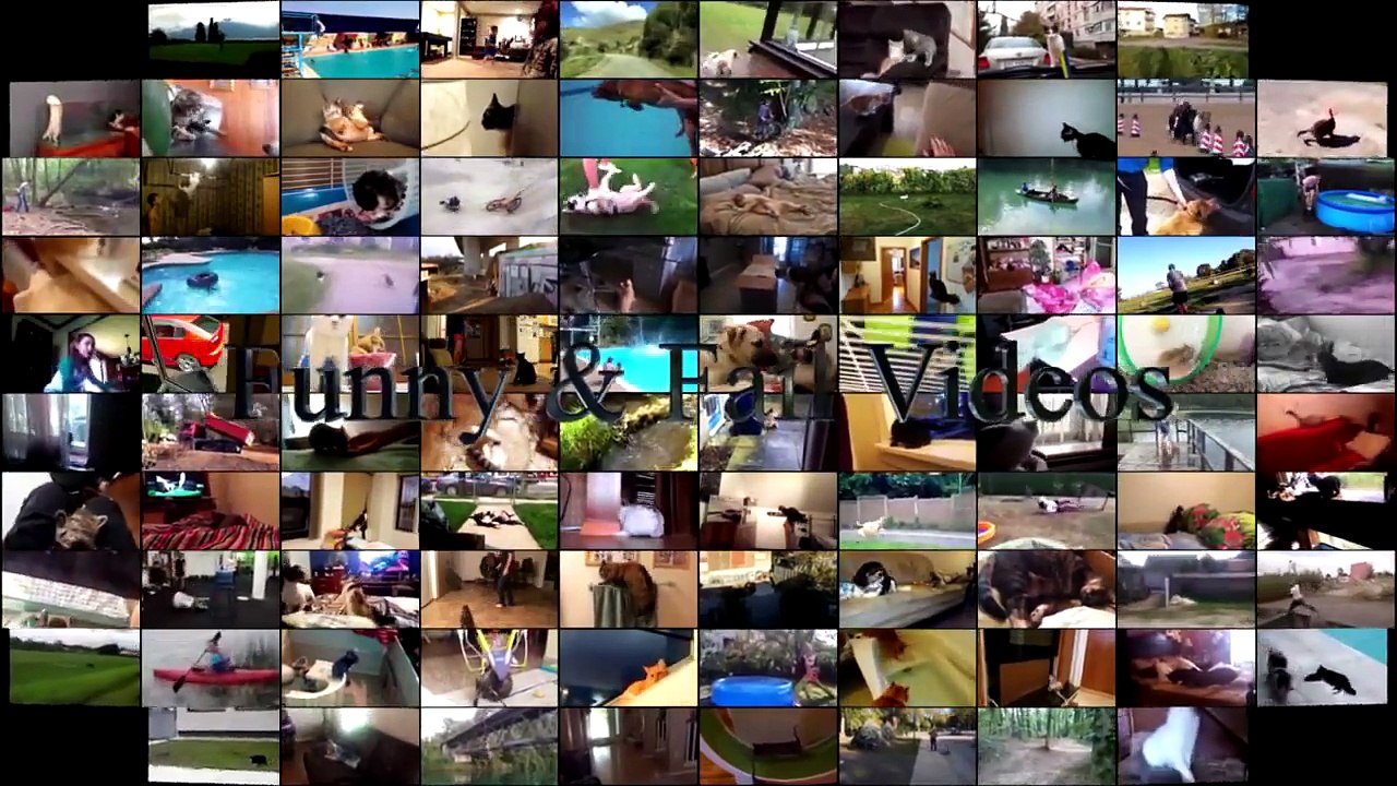 Funny Cats Sleeping - Funny Cats 2016 - Sleeping Cats