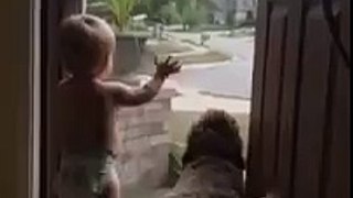 Dad Coming Home Is The Best reaction for little baby and puppy dog!!