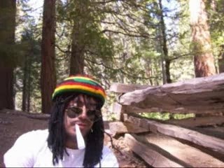 Cant bear Yosemite (version courte)