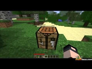 Vídeo Análisis - Minecraft