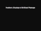[Read Book] Feathers: Displays of Brilliant Plumage  EBook