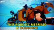 Robotic Mermaids Hunt For Sunken Treasure
