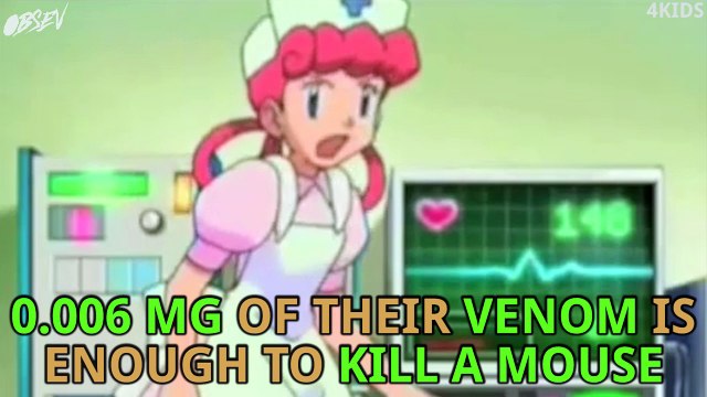 Are Spiders The Cure For Erectile Dysfunction?