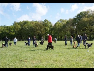 Cours d'éducation au club, 30 avril 2016