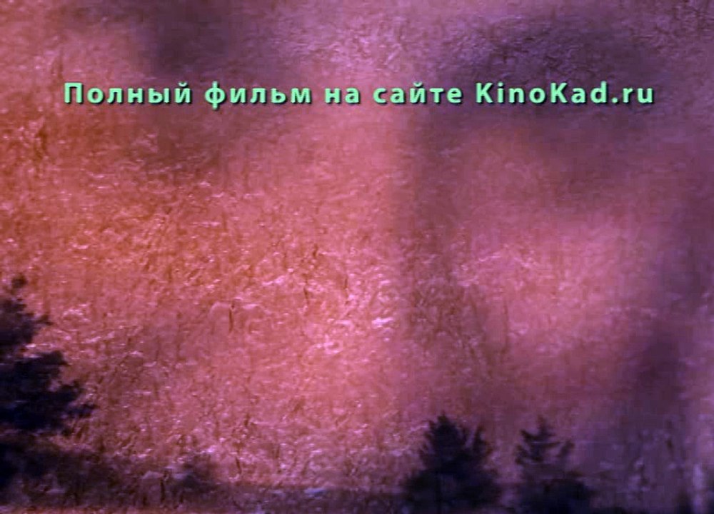 Сердце Собаки Полная Версия Фильма 2016 Смотреть Онлайн  в Хорошем Качестве HD 720