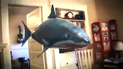 Shark In Room Without Water-Funny Whatsapp Video | WhatsApp Video Funny | Funny Fails | Viral Video