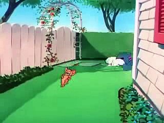 Tom And Jerry Cartoon in Urdu