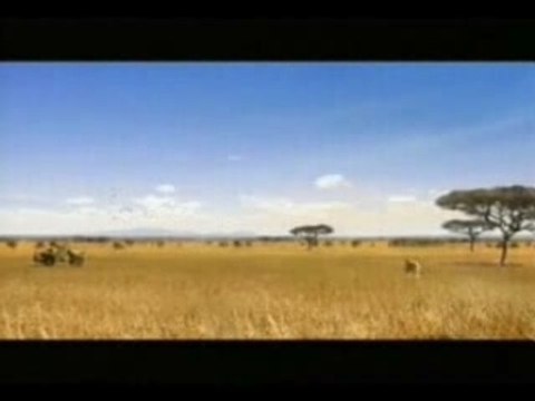 Videos Legais - Zooom Leao