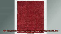 One of the best  KAS Oriental Rugs Bliss Collection Shag Area Rug 8 x 11 Red Heather