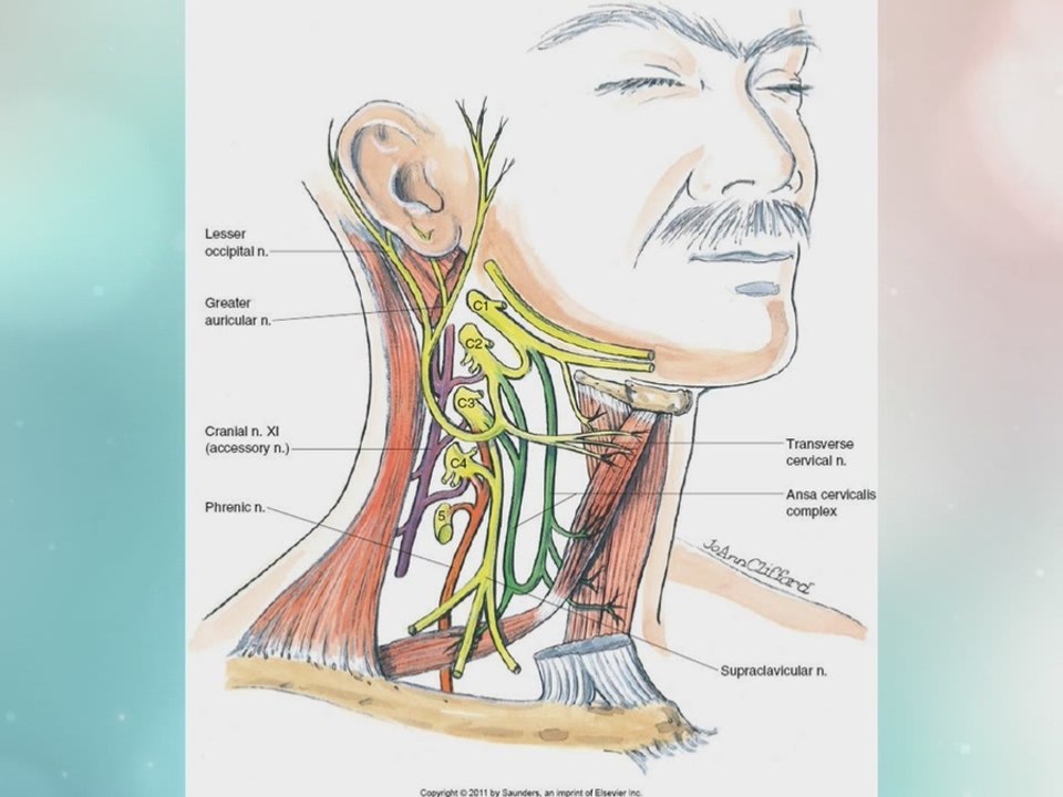 AZ Pain Centers has treatment options for neck and migraine pain