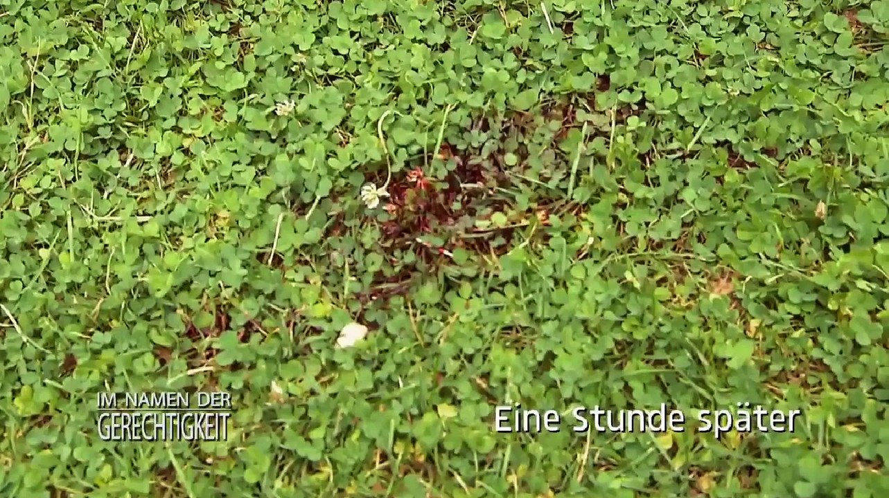 Im Namen der Gerechtigkeit