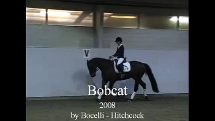 Bobcat