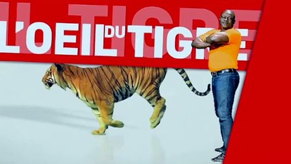 Statistique de Forza l'oeil du tigre 03 mars 2016