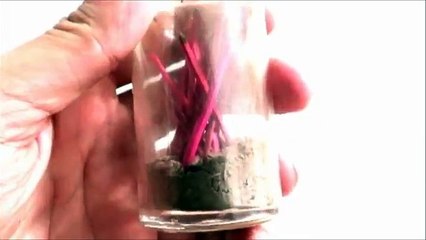 Barham Boulevard Hollywood Hills (Musical) {Video 17 }-omerpasha