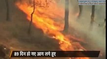 uttarakhand fire spreads to 13 districts 1800 hectares of forest destroyed