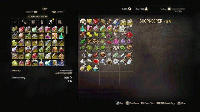 WITCHER 3 DEATH MARCH! WALKTHROUGH 217 - THE ISLE OF MISTS