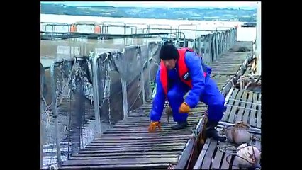 20 La Fiera - CATALINA QUIERE SABER LA VERDAD SOBRE SU MAMÁ-pt2