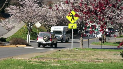 Larry W. Payne Nationwide Insurance: Your 'One-Stop Shop' for All of Your Insurance Needs