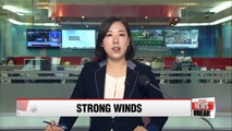 Strong wind alert issued for central region, several flights cancelled