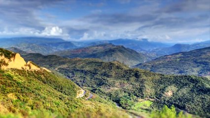 The ballad of Tony the Colombian hair stylist