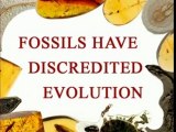 Fossils Have Discredited Evolution