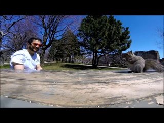 Download Video: Cheeky Squirrel Steals GoPro Camera