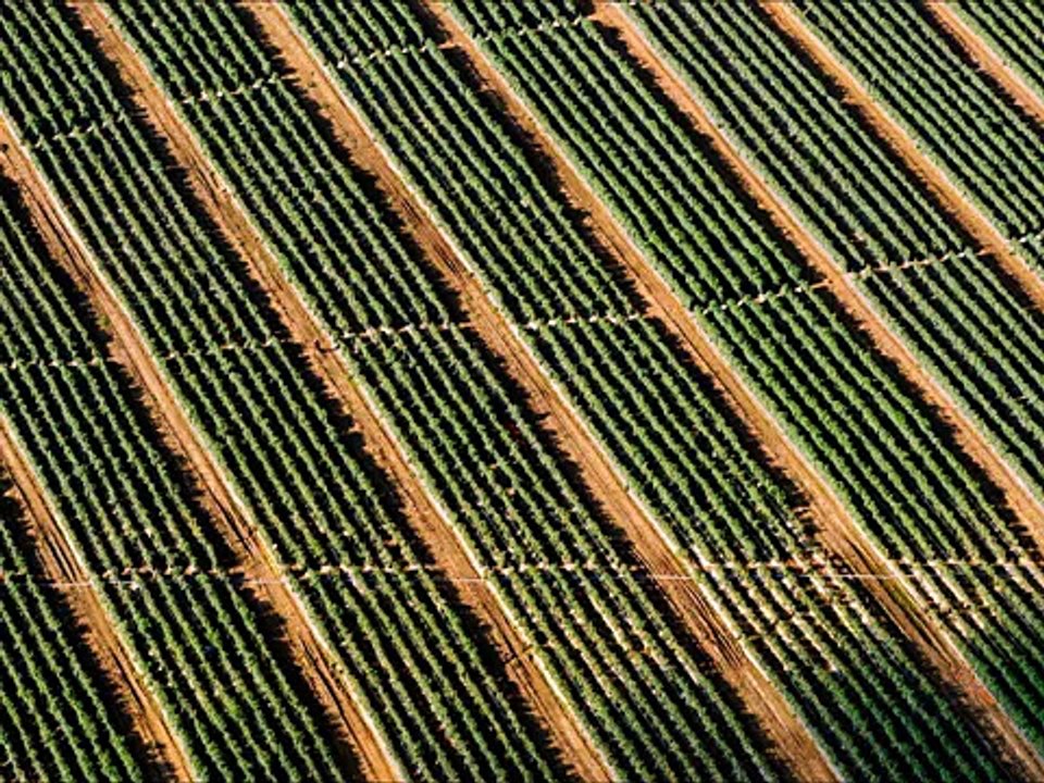 The Good, the Bad and the Ugly