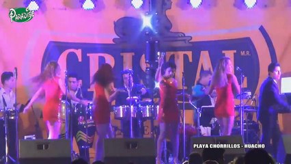 ORQUESTA PAPILLON - QUIEN NO LLORO POR AMOR [ CONCIERTO HUACHO ] ᴴᴰ