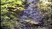 Usiage Ban Falls Hiking Trail Baddeck