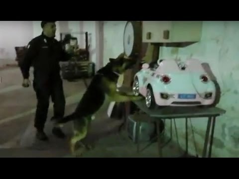 Aversa (CE) - Estorsioni a commercianti, 10 arresti (04.05.16)