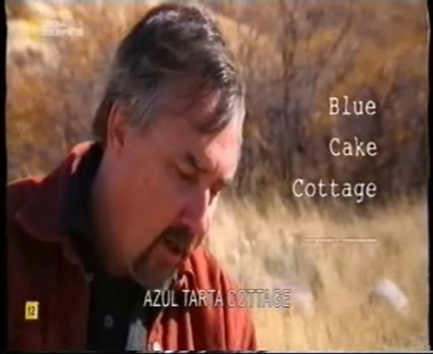 Cerebro: Creatividad y naturaleza (Test de asociaciones remotas)