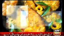 ARY News Funny Song On Nawaz Sharif on Panama Leaks