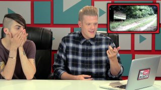 YOUTUBERS REACT TO ANIMALS IN MIRRORS