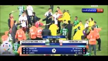 Massive Brawl At The End Of The Match Between Atlético Nacional vs Huracán!