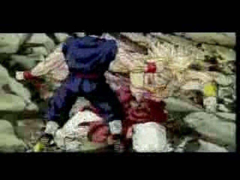 DBZ - Bring Me to Life