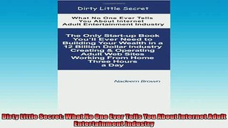 Free PDF Downlaod  Dirty Little Secret What No One Ever Tells You About Internet Adult Entertainment  BOOK ONLINE