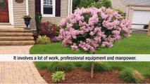 Shannon Landscaping: Providing The Best Lawn Care Solutions