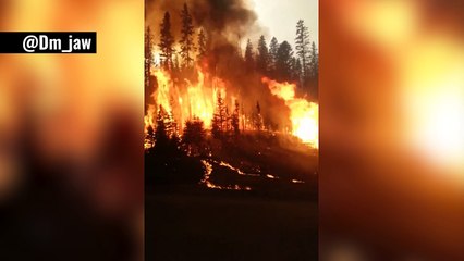 Incendie ravageur à Fort McMurray au Canada